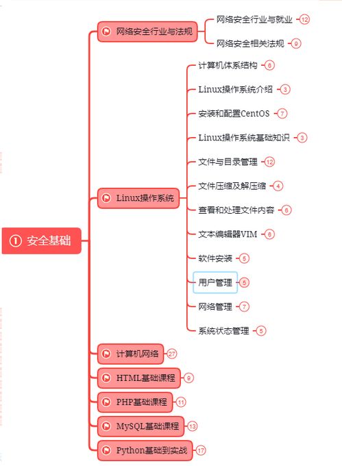 年薪百万的网络信息安全工程师 守护数字世界的神秘卫士